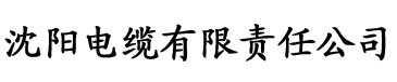 亚洲亚洲人成综合网络电缆厂logo